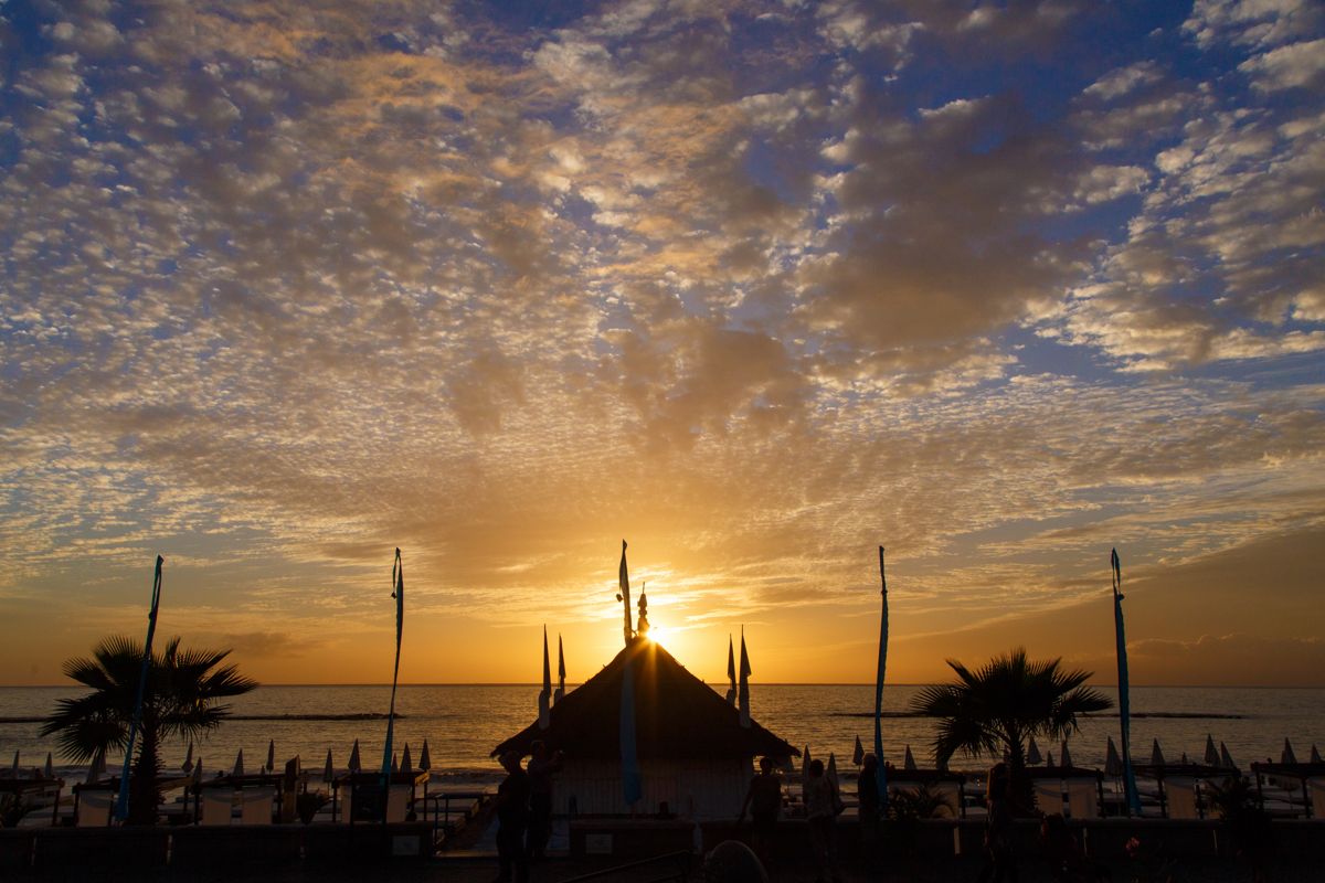 Sunset on the beach with umbrellas and palm trees in Tenerife.