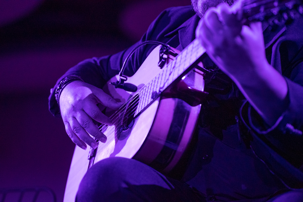 Musician playing guitar during a concert in Tenerife.