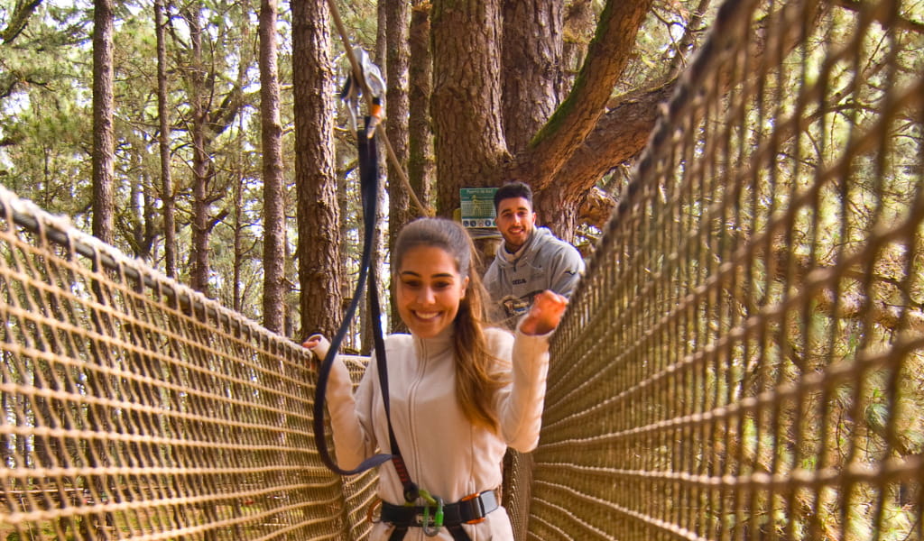 Person crossing suspension bridge in Tenerife forest park.