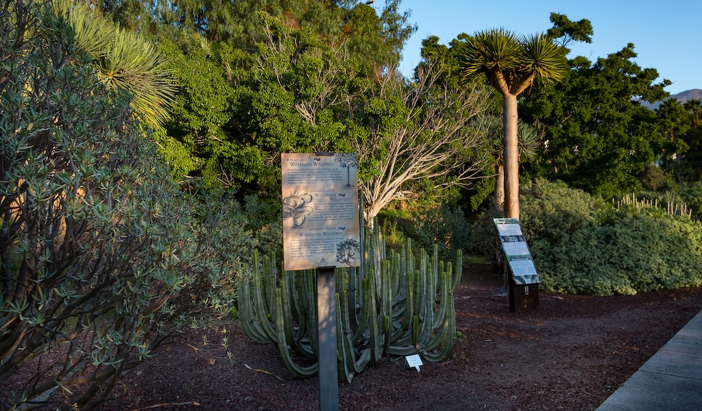 Informative sign between cacti and plants in the Botanical Garden of Tenerife.