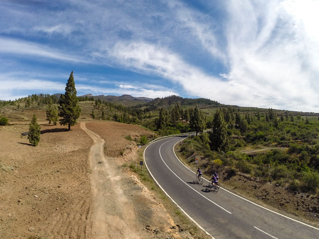 Cyclists on a road surrounded by mountains and trees in Tenerife.