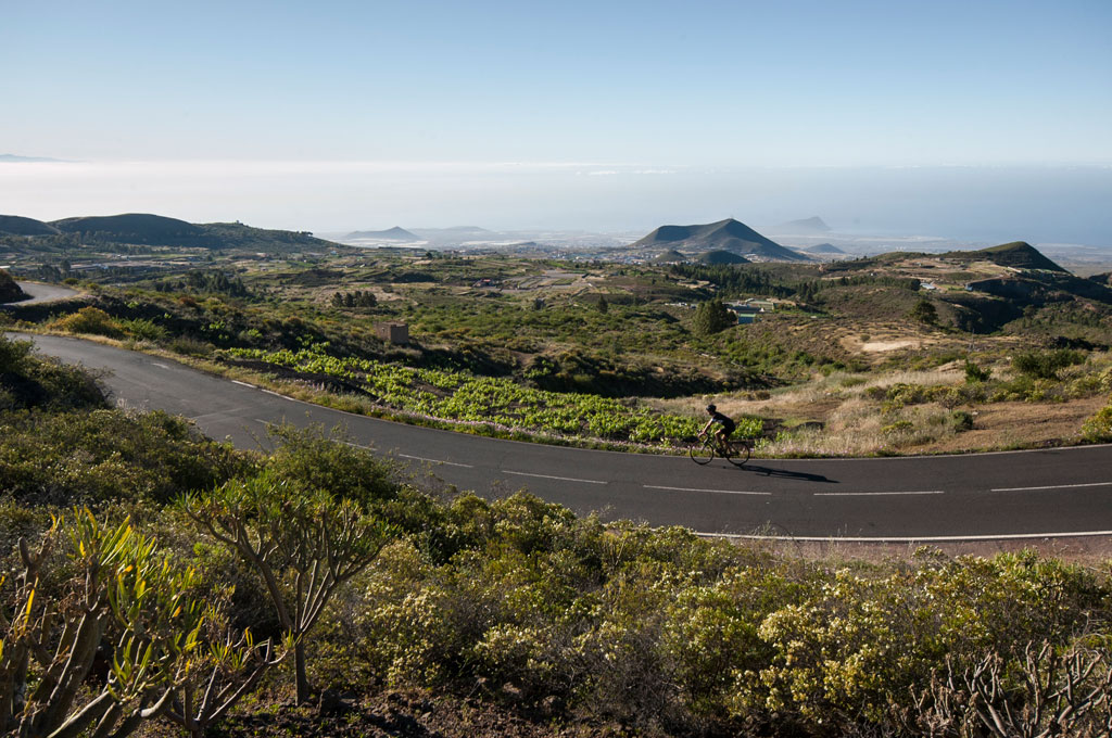 Cyclist on curved road with panoramic view of Tenerife.