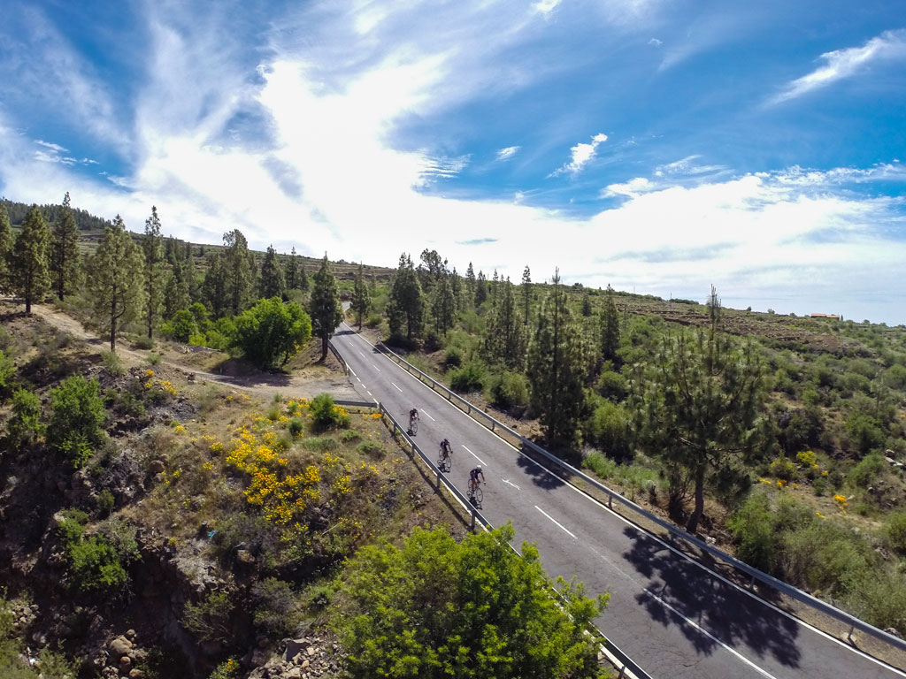 Road surrounded by trees and cyclists on the move in Tenerife.