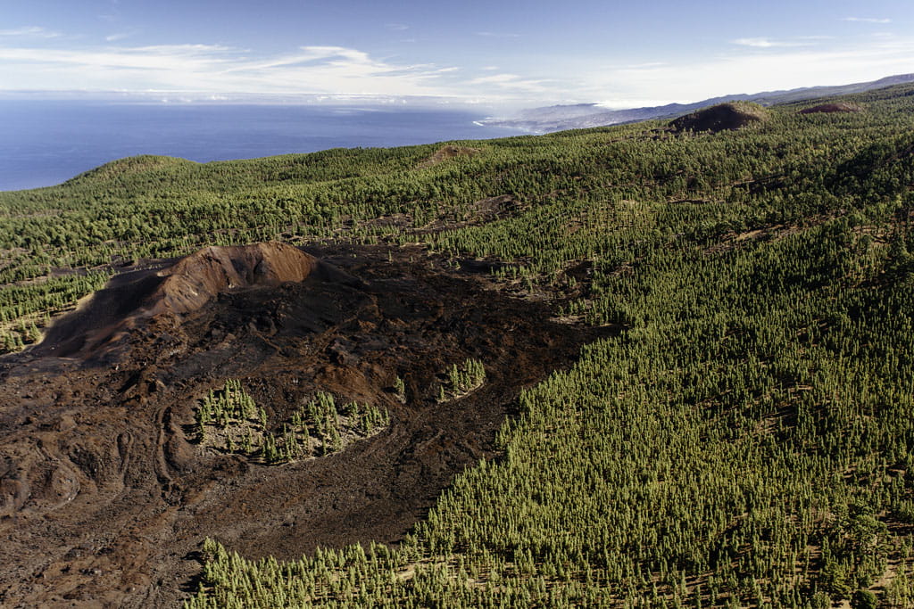 Volcanic crater surrounded by forest and ocean in La Palma, Tenerife.