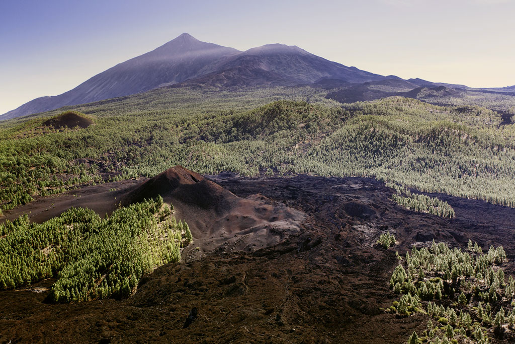 Landscape of the Teide volcano surrounded by forest in Tenerife.