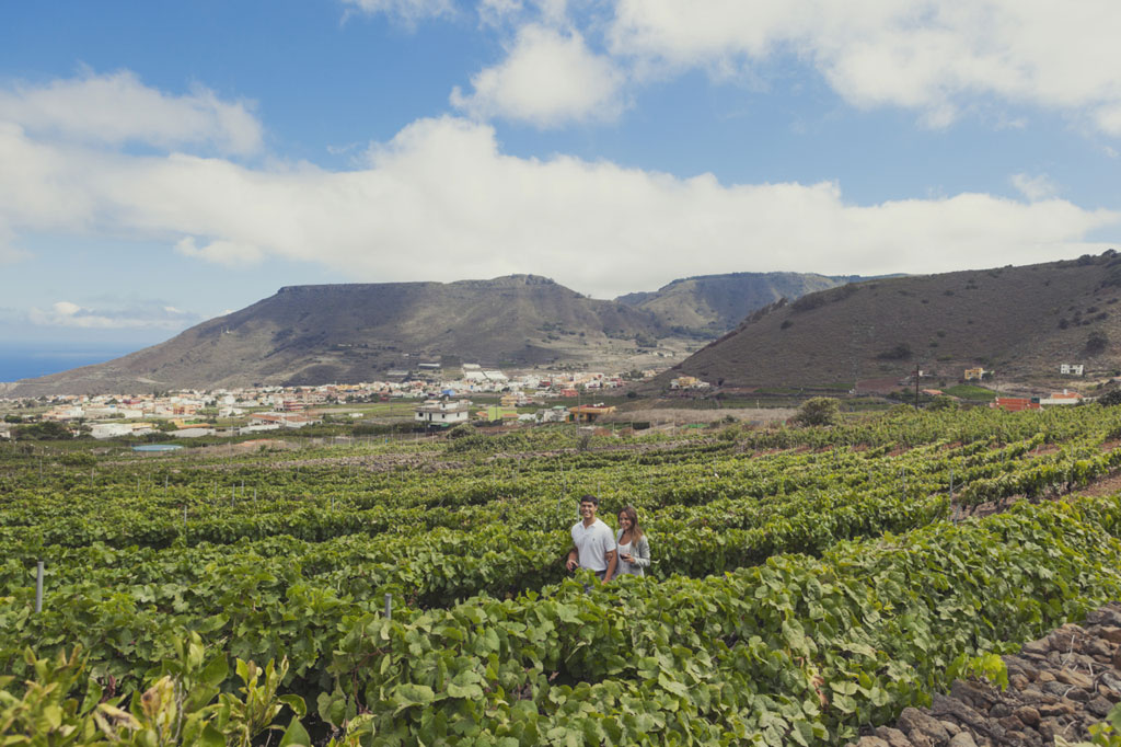 People walking among vineyards in a valley of Tenerife with mountains in the background.