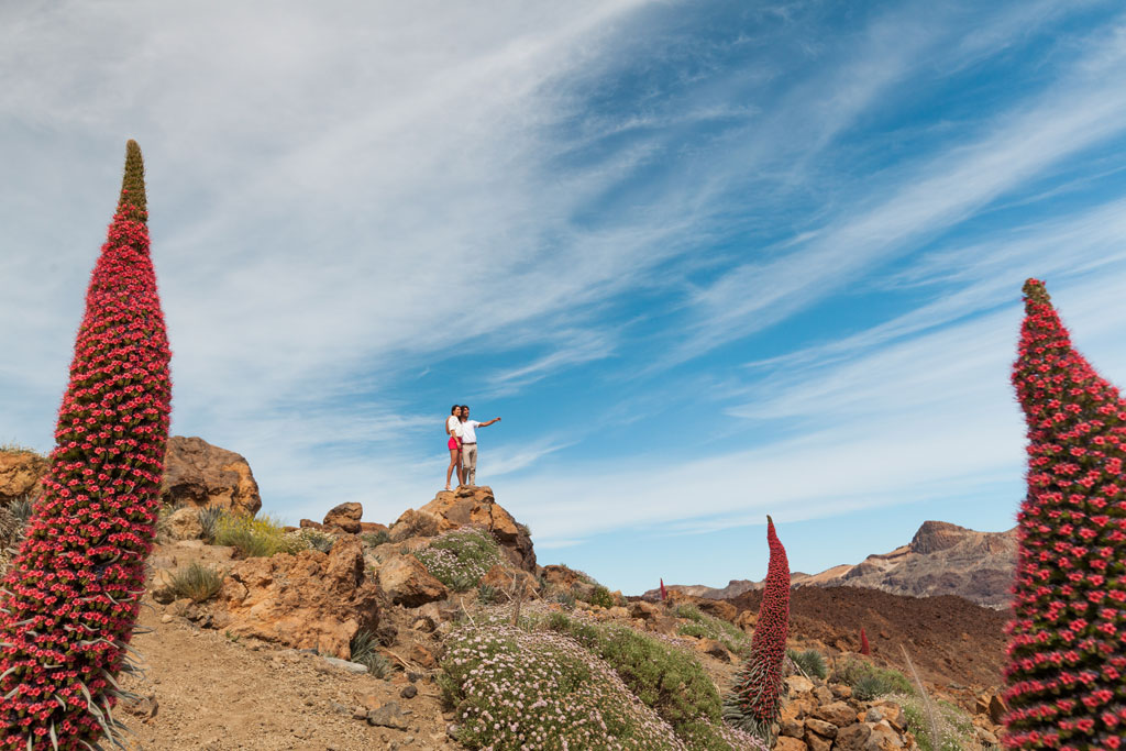 Person pointing between Tajinastes in Teide National Park, Tenerife.