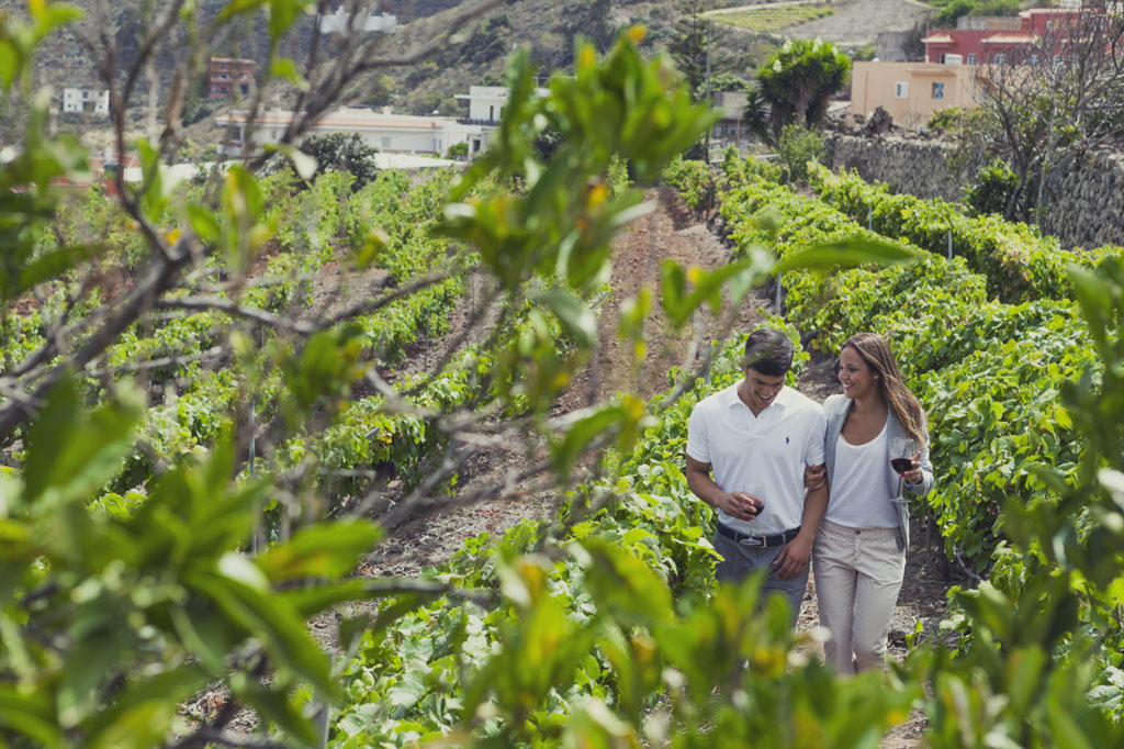 Couple walking among vineyards in Tenerife, holding glasses of wine.