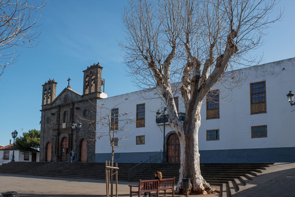 Church of San Antonio de Padua in Granadilla de Abona, Tenerife, and a tree in the square.