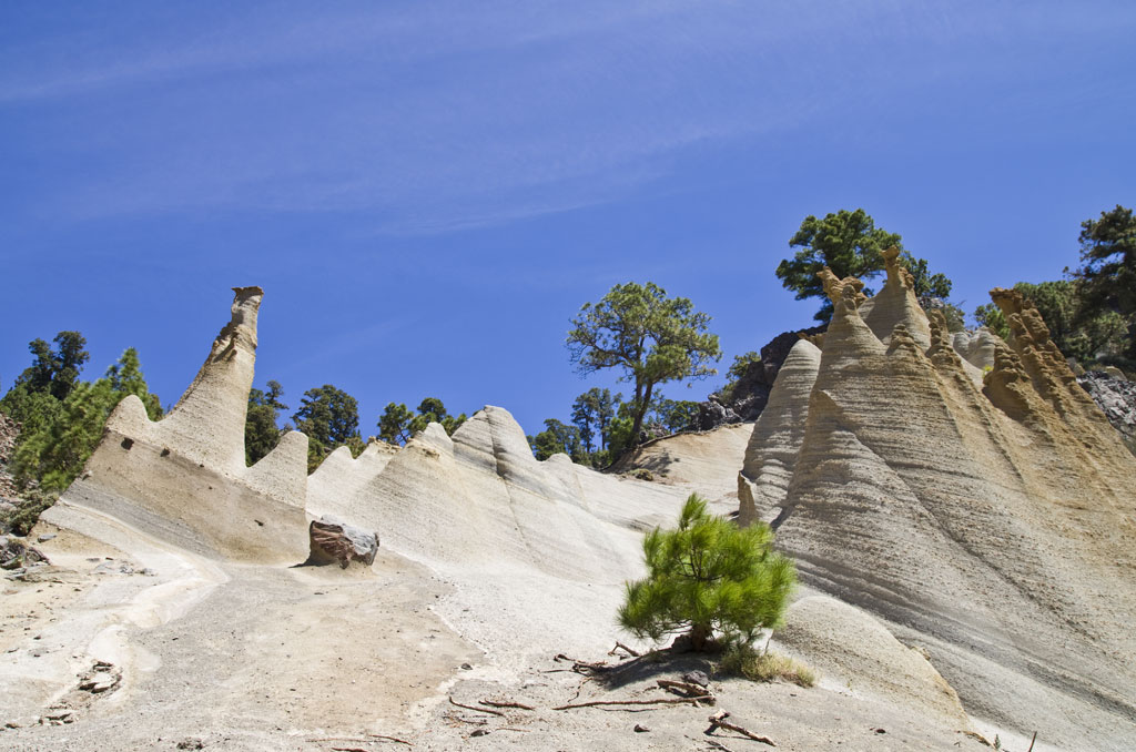 Los Escurriales rock formation in Tenerife with pine trees and blue sky.