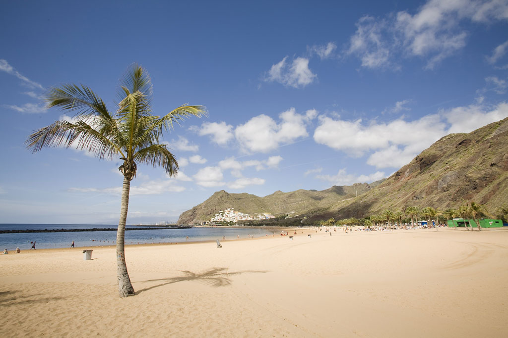 Playa de las Teresitas in Tenerife with palm tree and hills in the background.