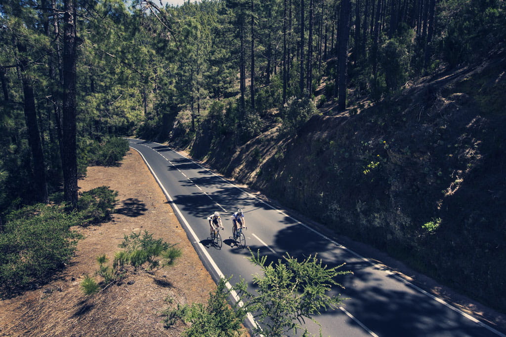 Cyclists on a road surrounded by trees in Tenerife.