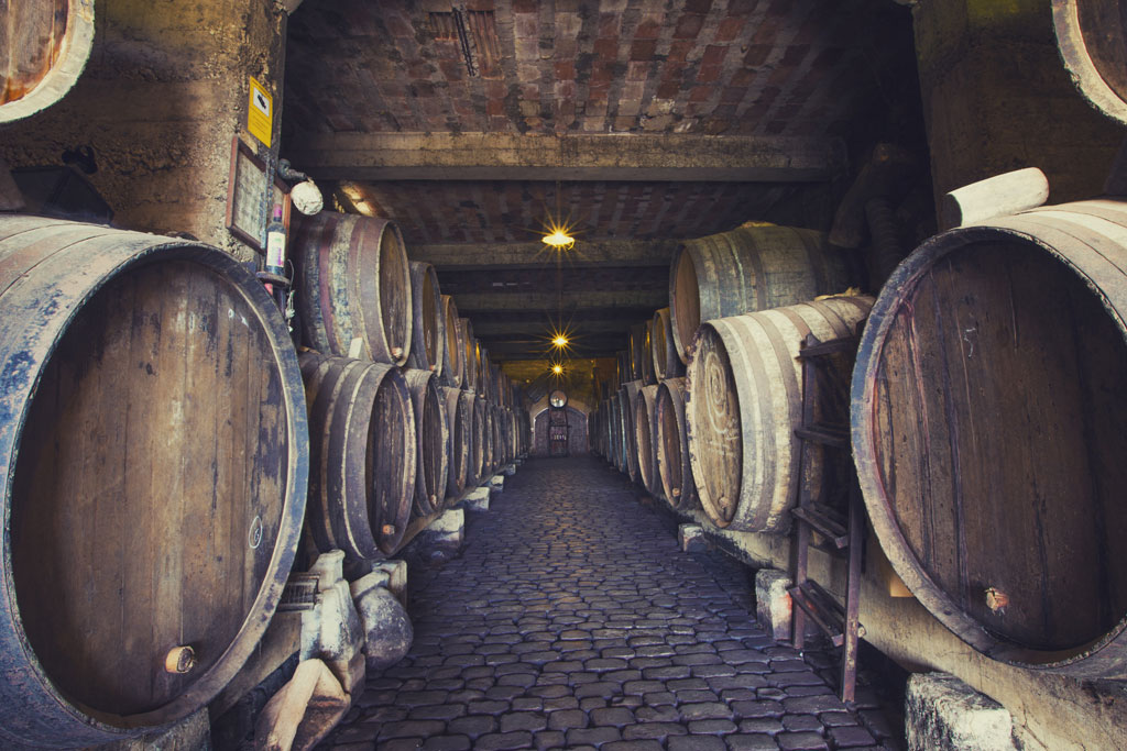 Underground wine cellar with wine barrels in Tenerife.
