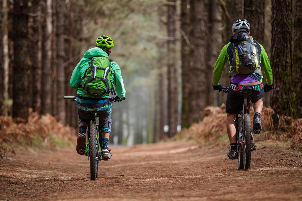 Cyclists on a forest route in Tenerife.