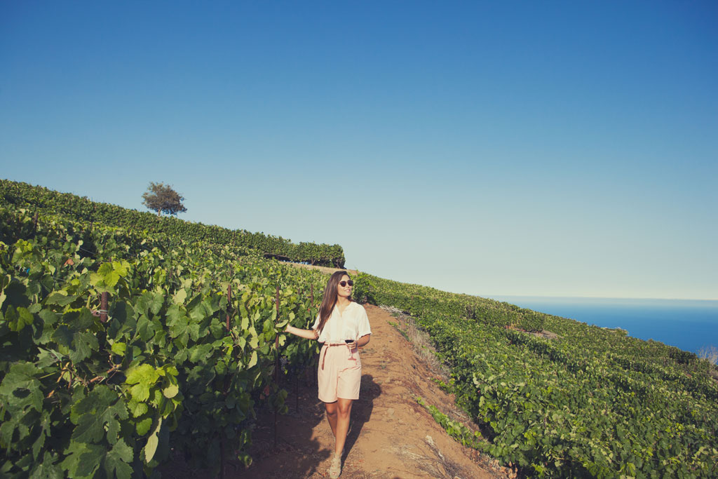 Woman walking among vineyards in Tenerife with the sea in the background.