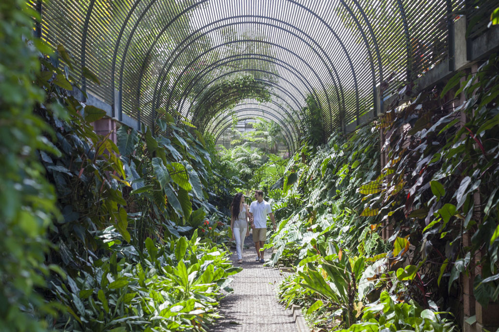 People walking through a plant tunnel at Loro Parque, Tenerife.