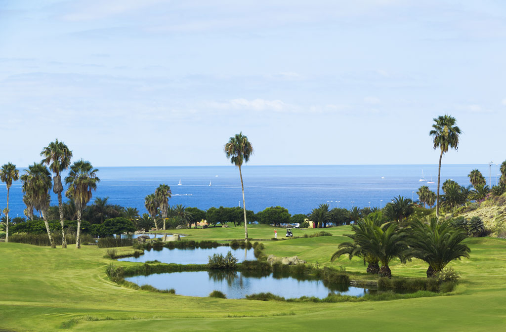 Golf course with palm trees and sea view in Tenerife.