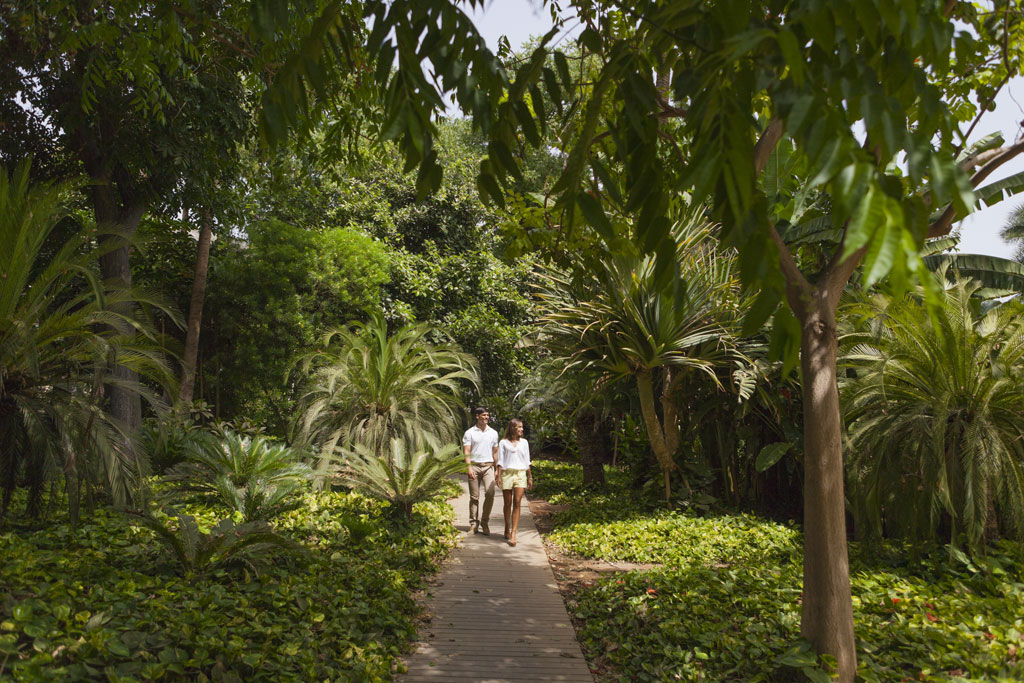Couple walking along a path surrounded by greenery in Tenerife.