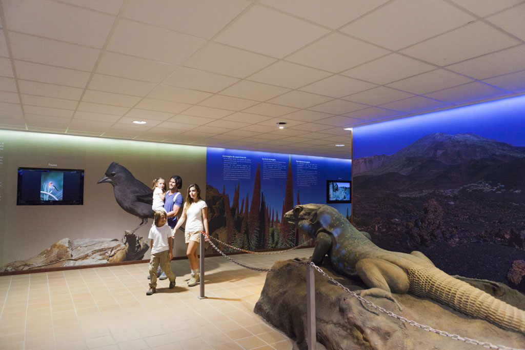 Family in wildlife exhibition in Teide National Park, Tenerife.
