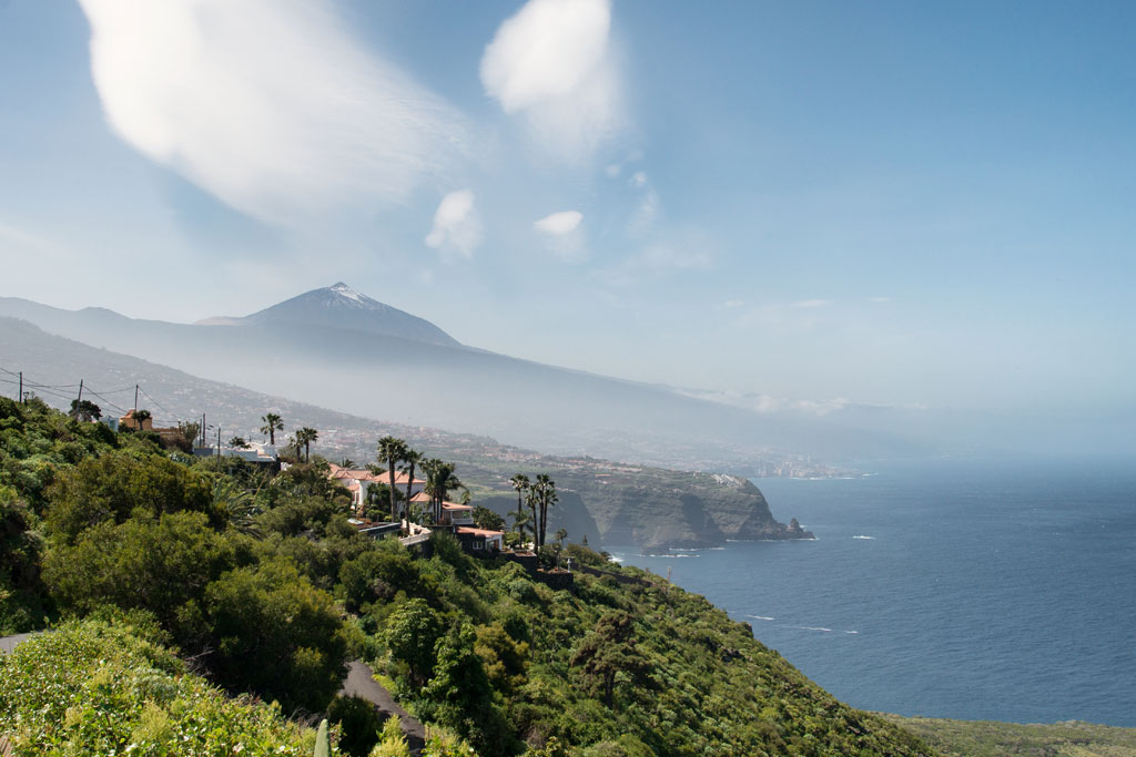 View of Mount Teide from the coast of Tenerife, with sea and vegetation in the foreground.
