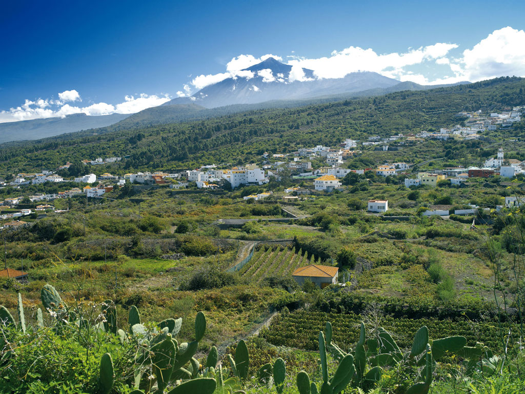 Landscape of Icod de los Vinos with Mount Teide in the background in Tenerife.