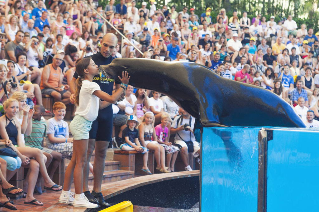Trainer and girl interacting with a sea lion at Loro Parque, Tenerife.