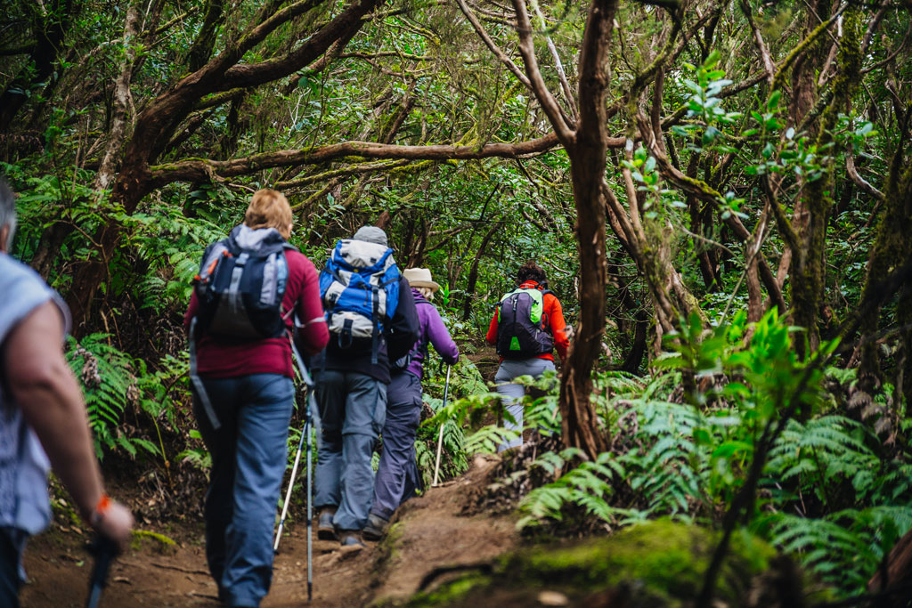 People walking along a wooded path in Anaga, Tenerife.