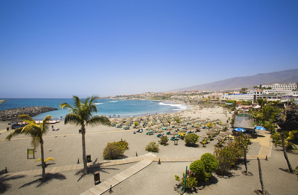 Sandy beach with palm trees and sun loungers in Tenerife, view of the sea and buildings in the background.