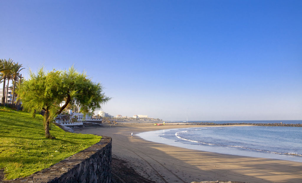 Beach with palm trees and promenade in Tenerife under blue skies.