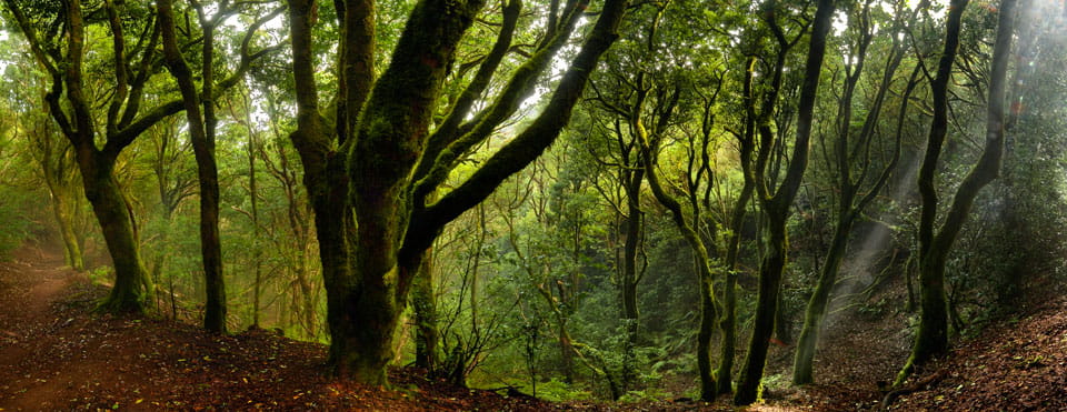 Tres días en Tenerife