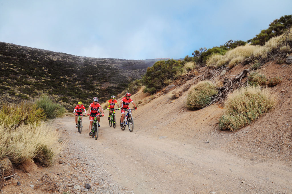Mountain bikers ride along a country road in the landscape of Tenerife.