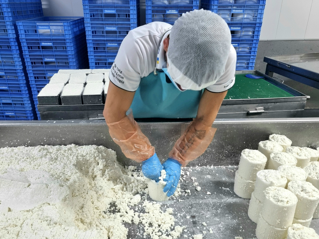 Person molding fresh cheese in factory in Tenerife.