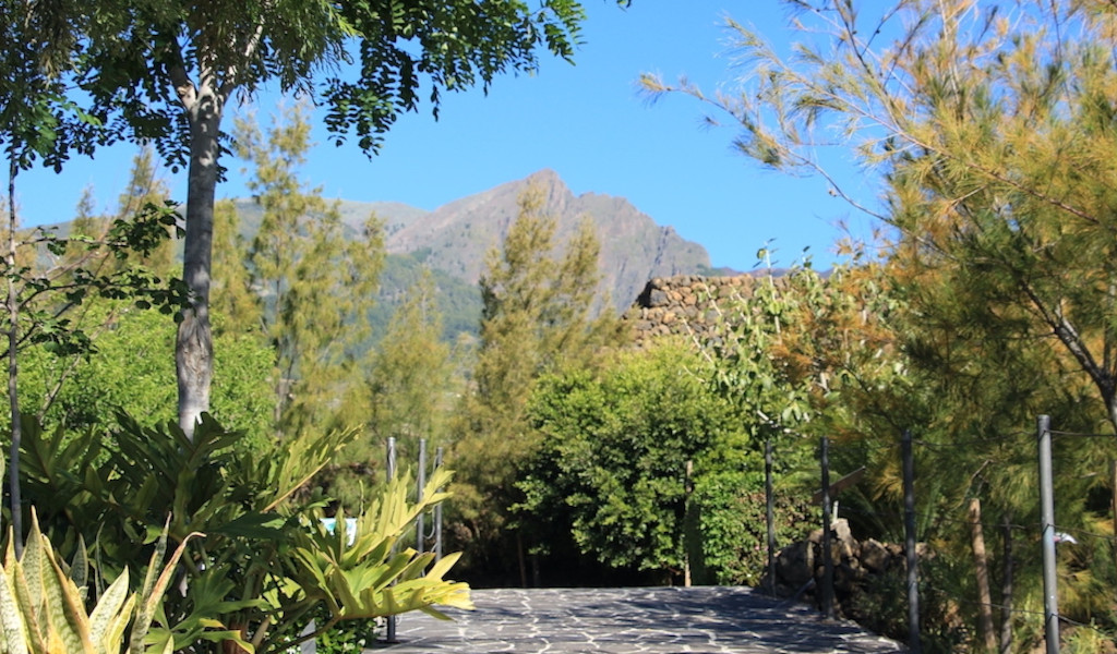 Cobbled path surrounded by trees with mountain in the background in Tenerife.