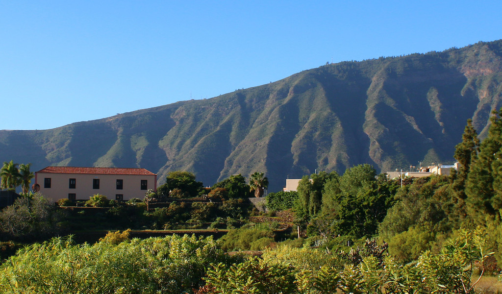 Mountainous landscape and vegetation in La Orotava, Tenerife.