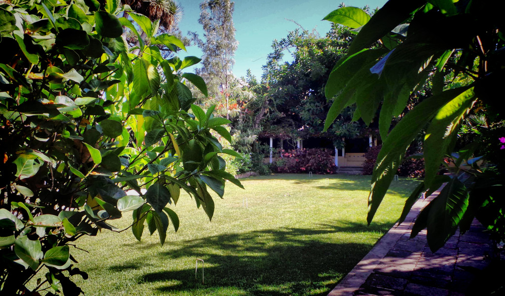 Garden with lawn and trees in a park in Tenerife.