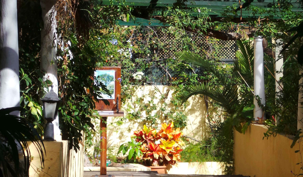 Patio with plants and painting in Tenerife Botanical Garden.