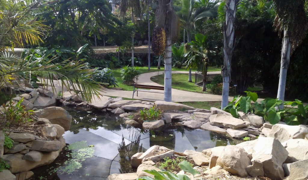 Tropical gardens with pond and paths in Puerto de la Cruz, Tenerife.
