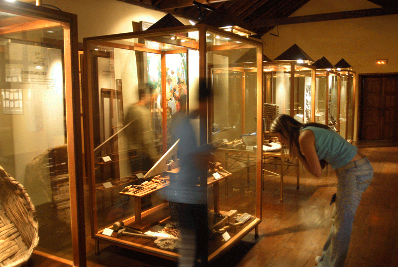 Exhibition of objects in display cases in a museum in Tenerife with visitors watching.