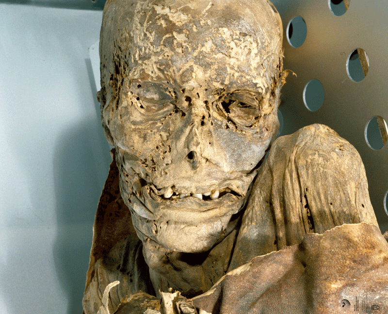 Guanche mummy in a museum in Tenerife with visible details on the face and body preserved.