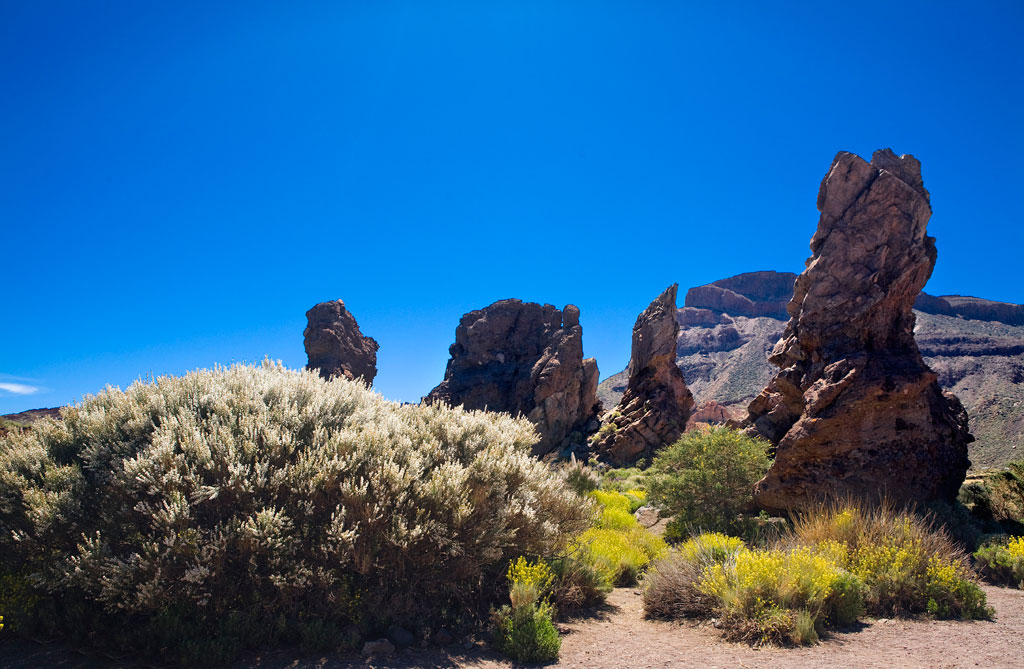 Volcanic rocks under blue skies in Teide National Park, Tenerife.