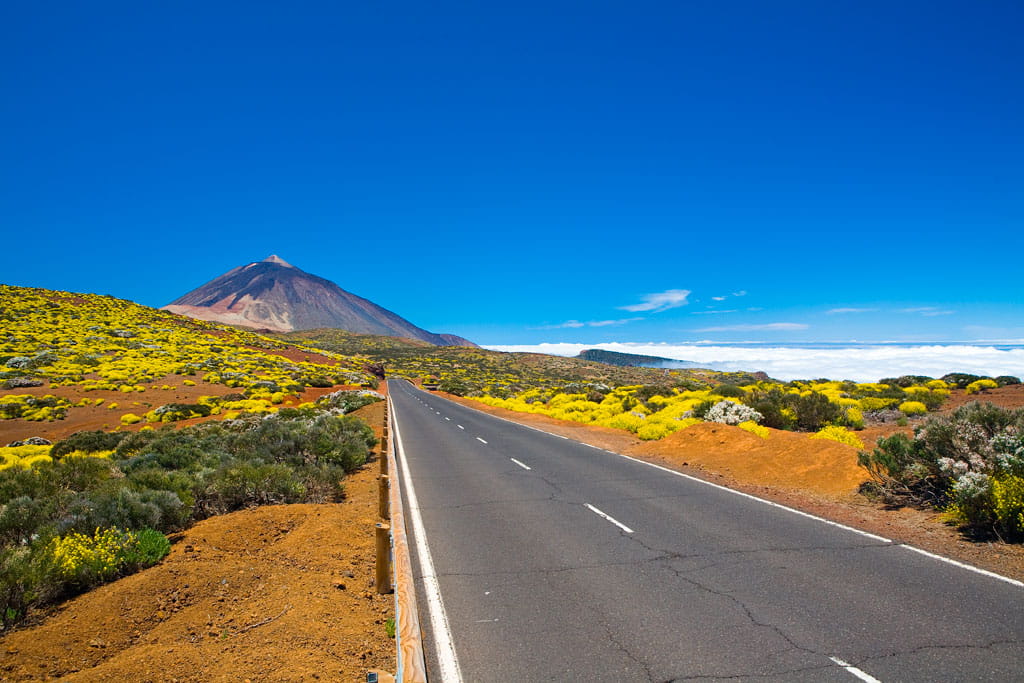 Road to Mount Teide in Tenerife, surrounded by vegetation and clear skies.
