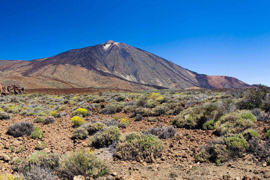 Landscape of Mount Teide in Tenerife with vegetation and clear skies.