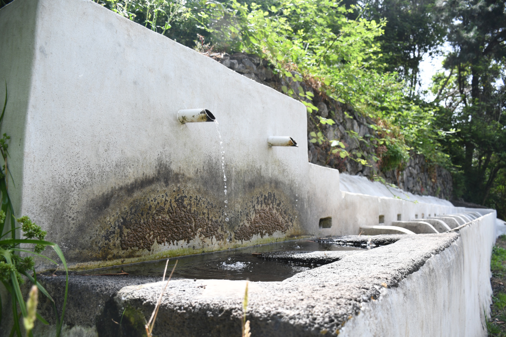 Water fountain in the countryside in La Laguna, Tenerife, surrounded by greenery.