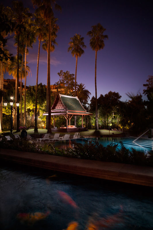 Illuminated Thai pavilion in the night garden of Puerto de la Cruz, Tenerife.