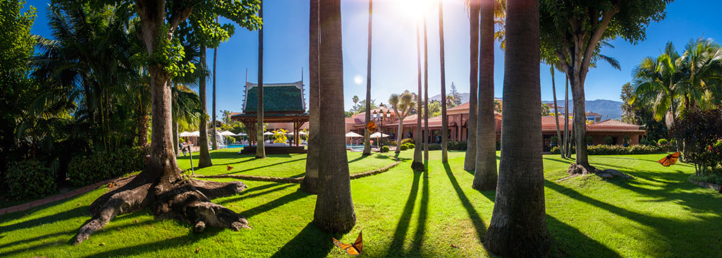 Garden with palm trees and building in a park in Tenerife under the sun.