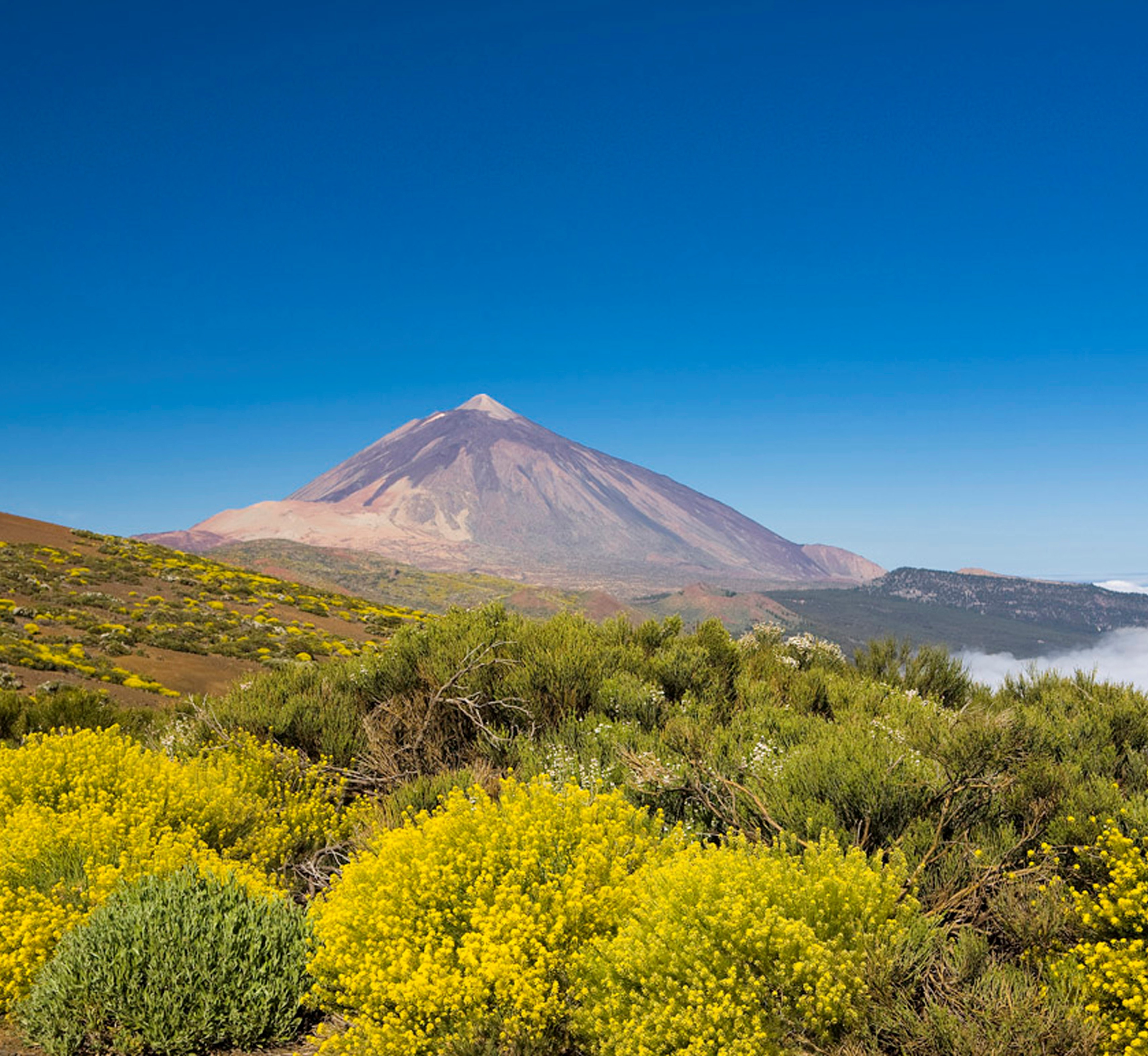 Routes Africa 2016 to be held in Tenerife