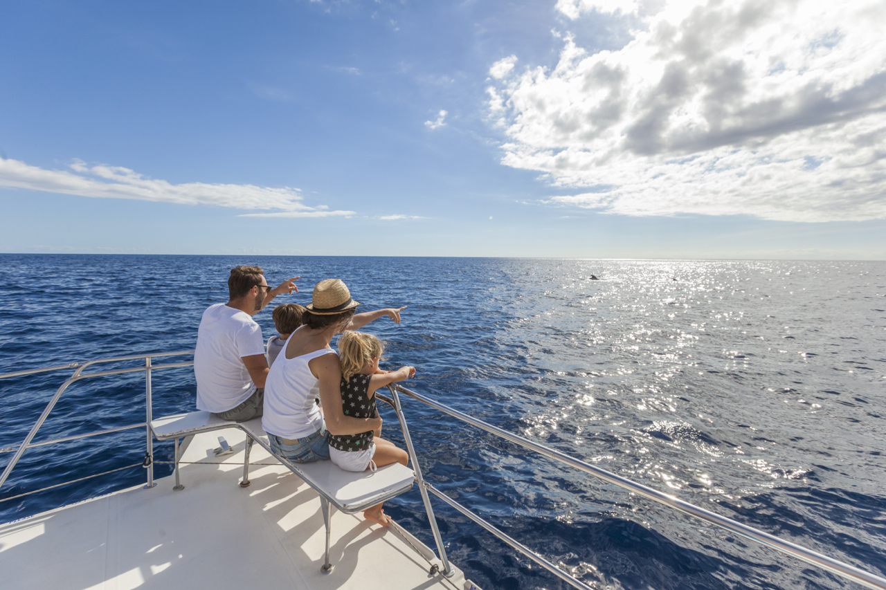 Whale & dolphin watching in Tenerife