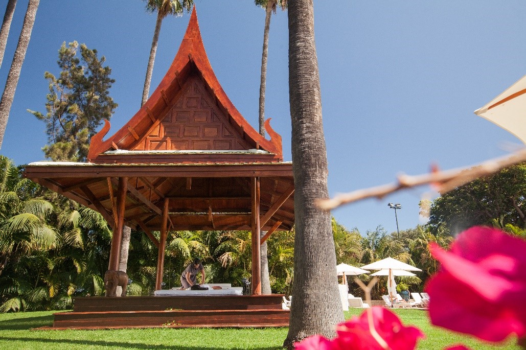 Tenerife - a destination for your health