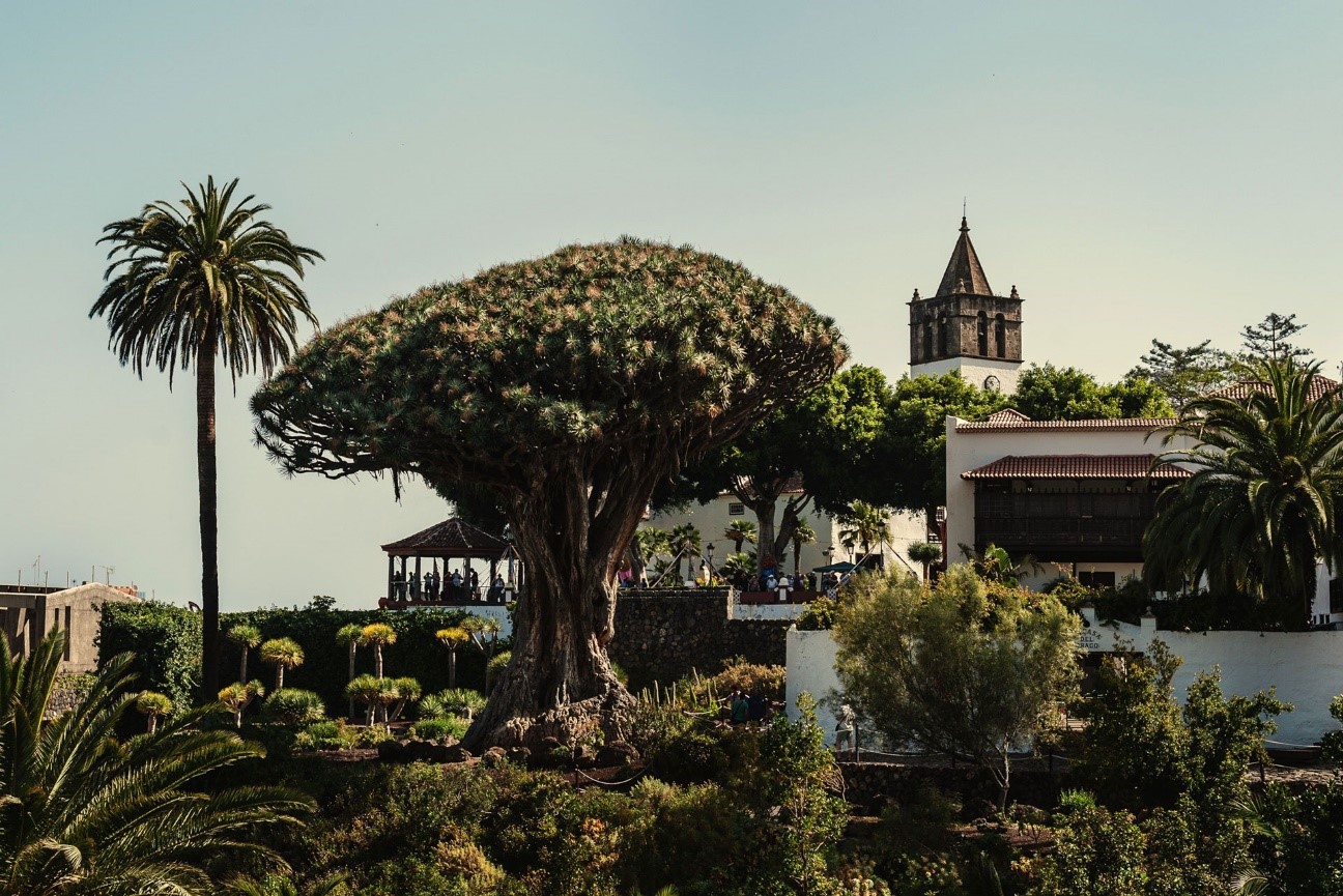 Must-see places in Tenerife (part 1)