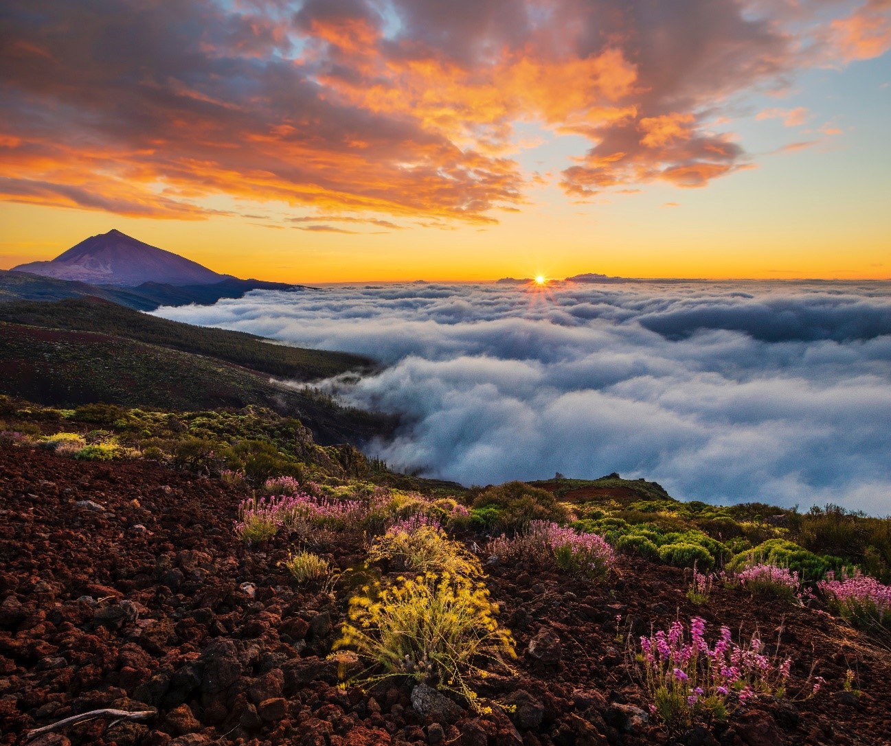 Experiences on Mount Teide – stars, hiking trails and Martian landscapes